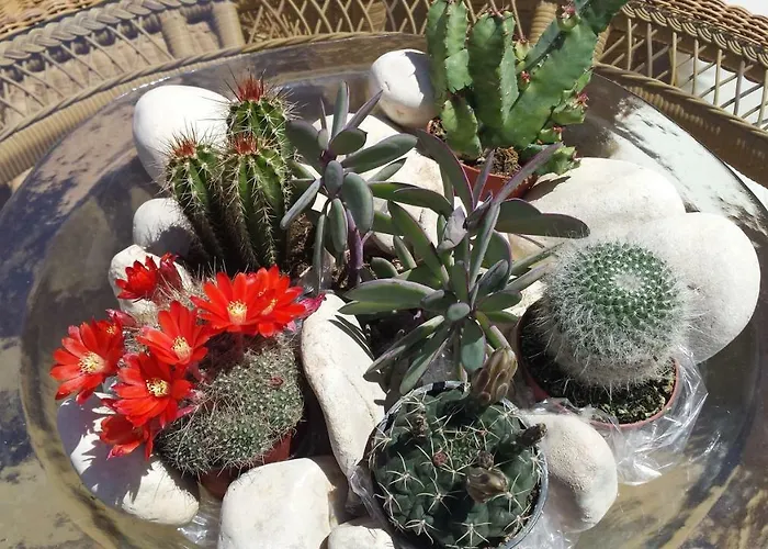 Apartmán Cascadas De La Marina *