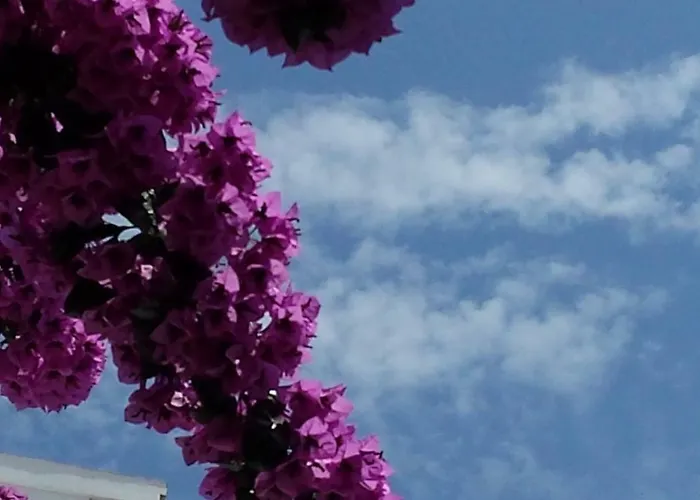 Cascadas De La Marina Denia