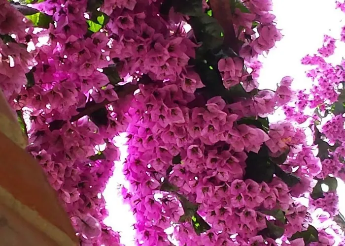 Cascadas De La Marina Apartmán *