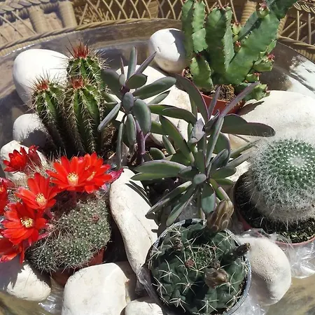 Lägenhet Cascadas De La Marina *