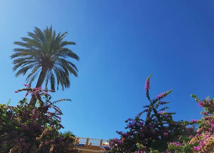 Cascadas De La Marina Apartment *