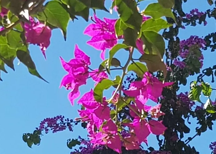 Cascadas De La Marina * Denia