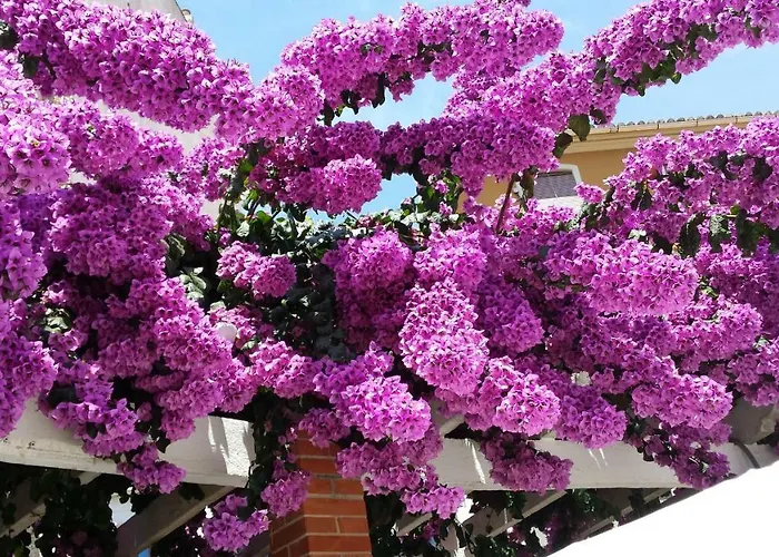 Cascadas De La Marina