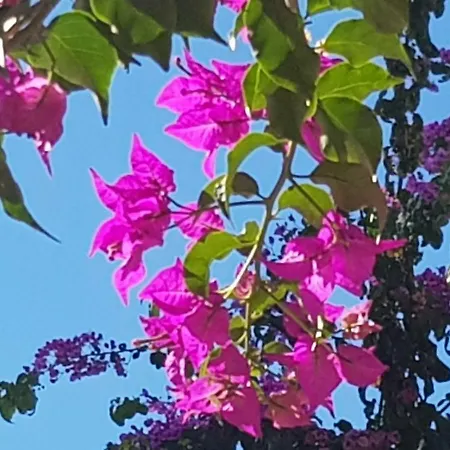 Cascadas De La Marina * 데니아